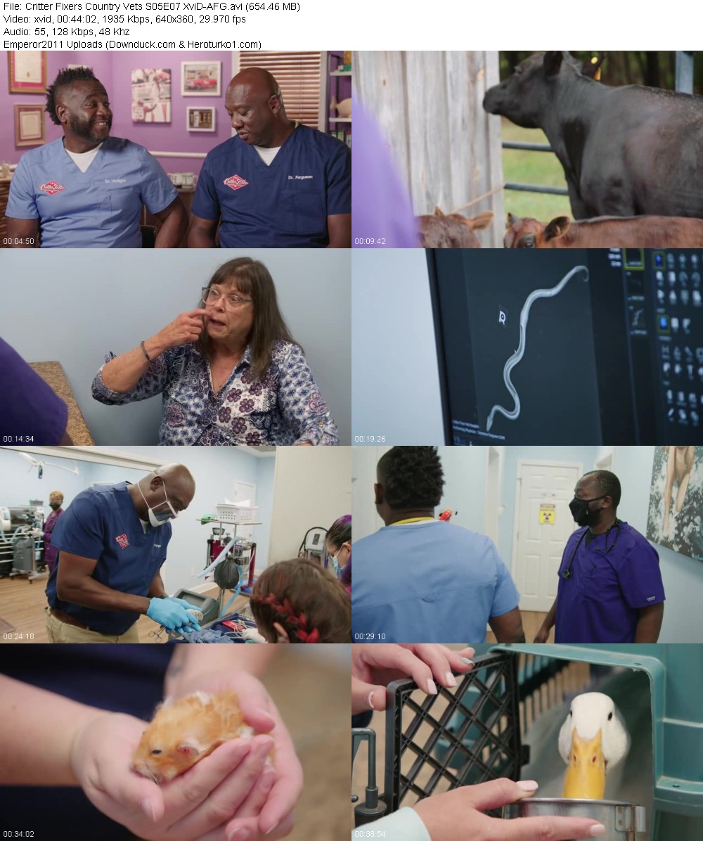 355042342_83kc9gwxjrm1.jpg
