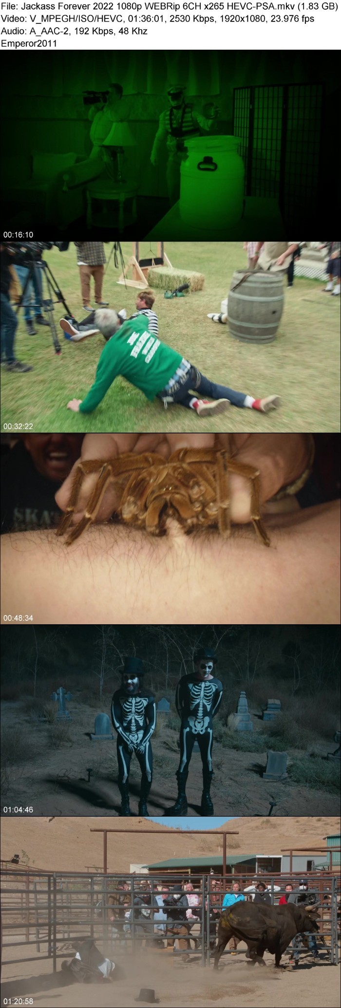 Lv0GYGpK_o.jpg