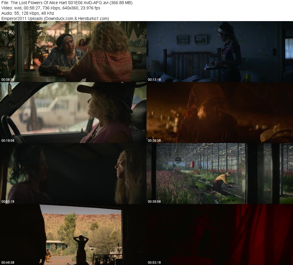 375764178_n6kzs2x3r4jj.jpg