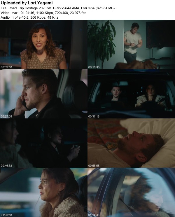 350283928_road-trip-hostage-2023-webrip-x264-lama_lori.jpg