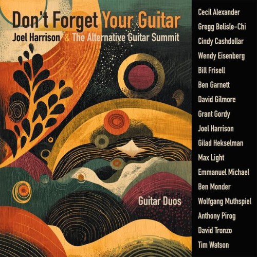 VA-Dont-Forget-Your-Guitar-WEB-2026-ENRi-CH.jpg