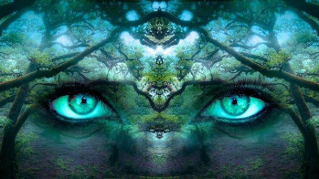 75c029d1dbb14ab64fe13e43750d8f1d.png