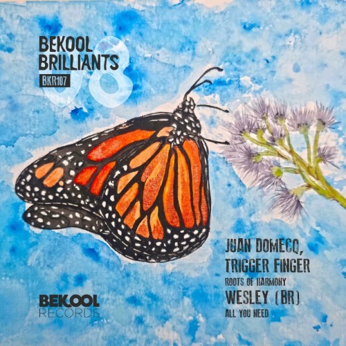 00-va-bekool-brilliants-08-bkr107-web-2026-cover.jpg
