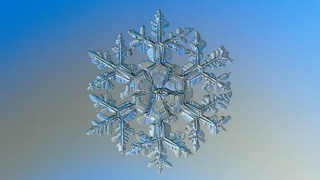 c65edf6f-6238-4f52-9406-8088c0a74d3f.png