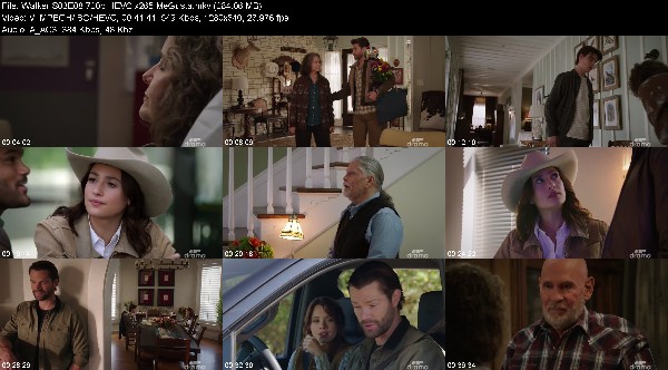 329631099_walker-s03e08-720p-hevc-x265-megusta.jpg