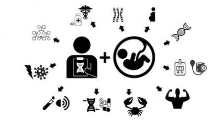 6e3a86566bc6e2610952d320aa3031c0.png
