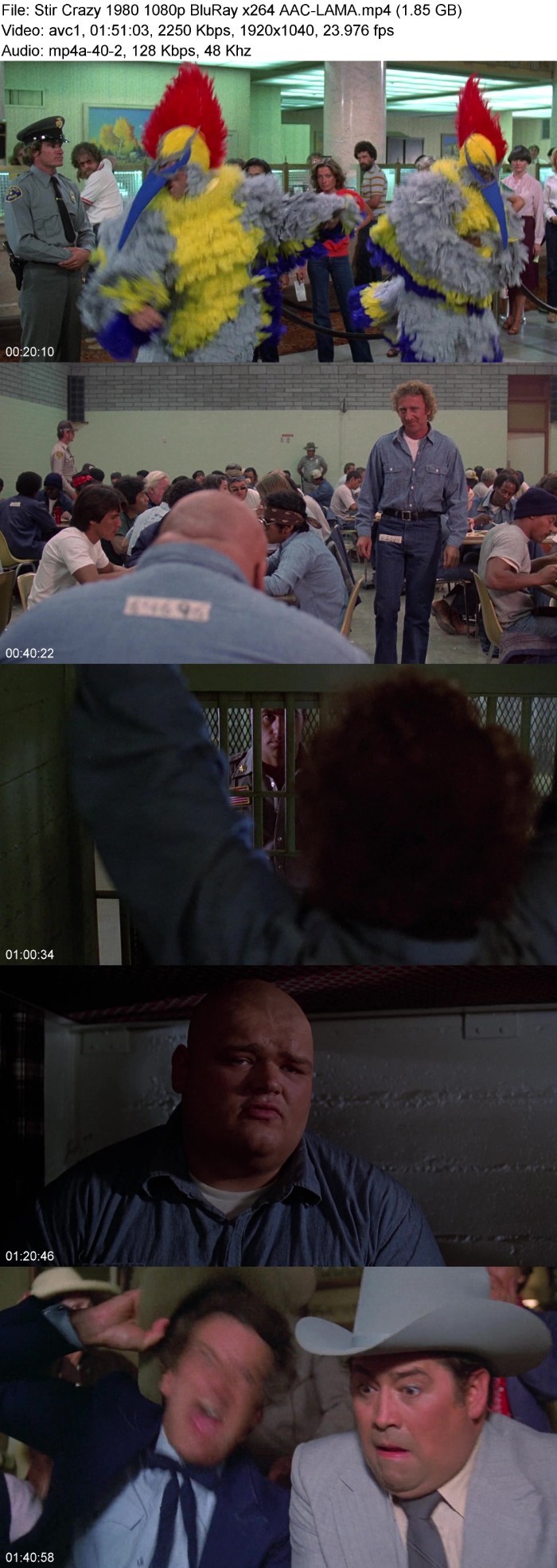 JPGz8cNn_o.jpg