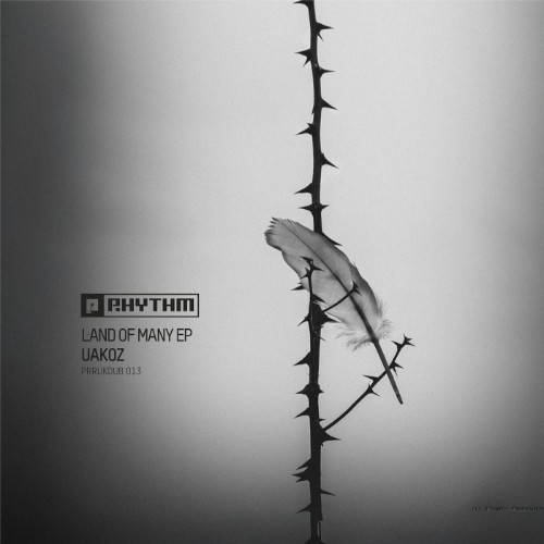 00-uakoz-land-of-many-ep-prrukdub013-web-2026-cover.jpg