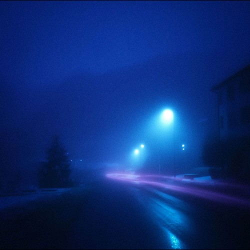00-trapeia-dreamland-web-2026-mwn.jpg