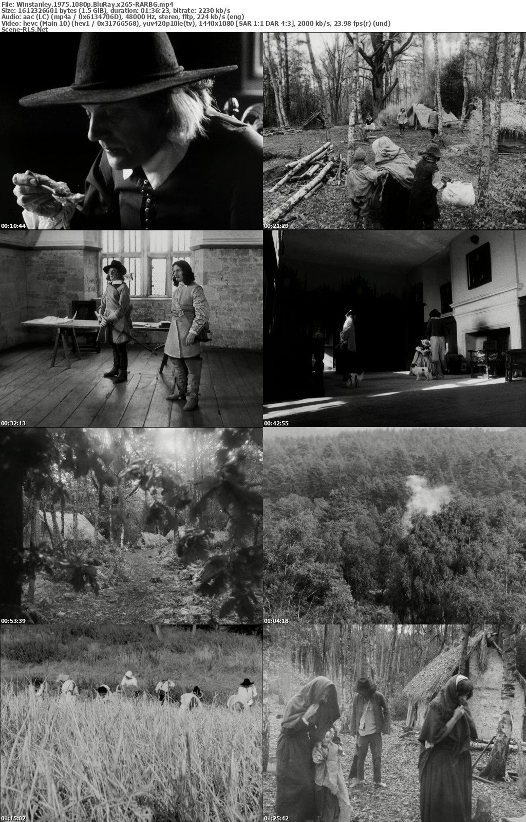 378471636_winstanley-1975-1080p-bluray-x265-rarbg_s.jpg