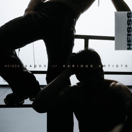 VA-HEISSS-VA003-VA003-24-BIT-WEB-FLAC-2025-WAVED.jpg