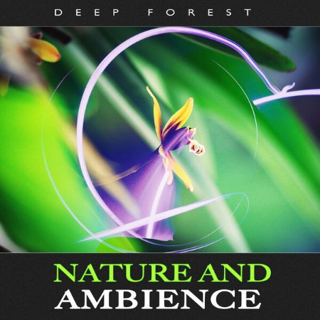 Deep-Forest-Nature-and-Ambience-2025-New-Age-Flac-24-44.jpg