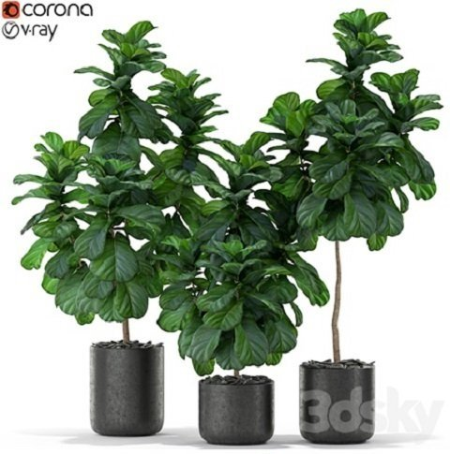8cdd779c-48a7-46cf-87cc-0de1ba953d2d.png
