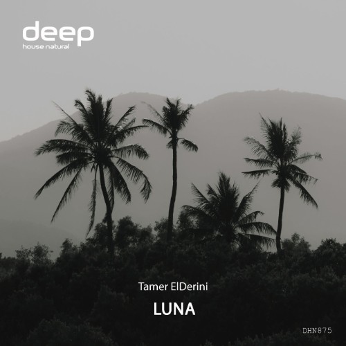 00-tamer-elderini-luna-dhn875-single-web-2026-cover.jpg