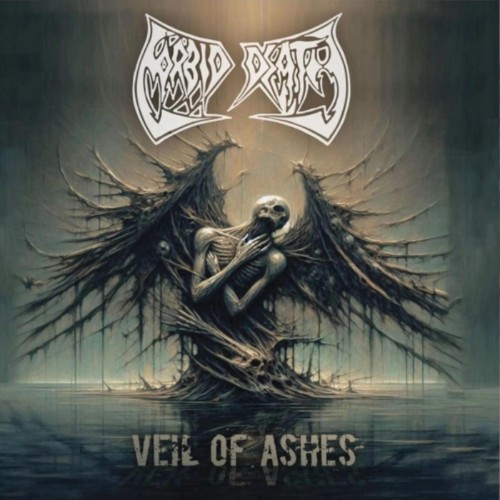 Morbid-Death-VEIL-OF-ASHES-WEB-2026-ENTi-TLED.jpg