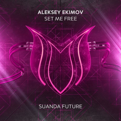 00aleksey-ekimov-set-me-free-web-2026-falcon.jpg