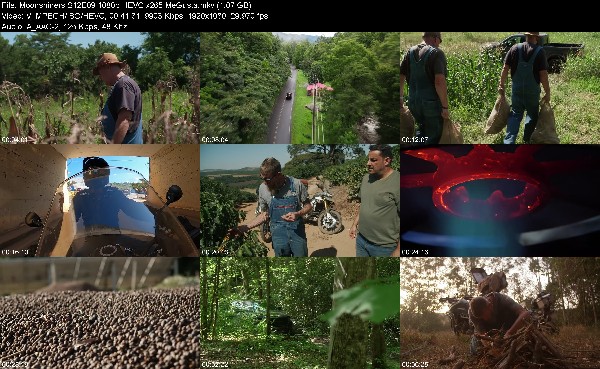 331231455_moonshiners-s12e09-1080p-hevc-x265-megusta.jpg
