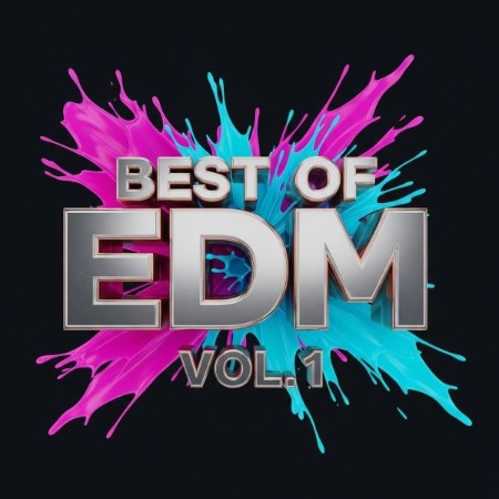 V-A-Best-of-EDM-Vol-1-2025-Dance-House-Pop-Elettronica-Flac-16-44.jpg