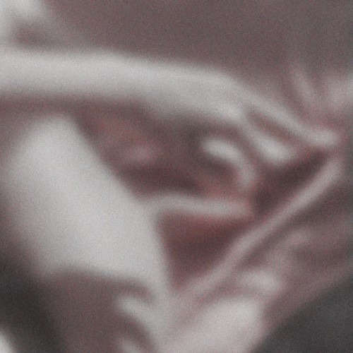 00-clotur-endless-pattern-subl031s-single-web-2026-falcon.jpg