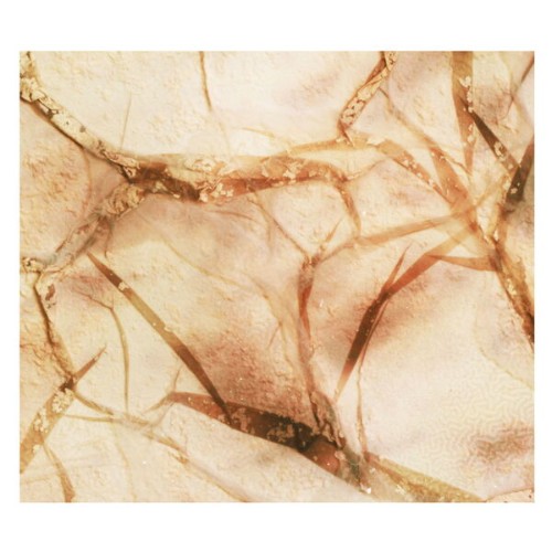 00-kayla-painter-tectonic-particles-qd44-24bit-web-flac-2026.jpg
