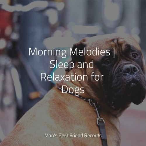 UICqqh82_o.jpg