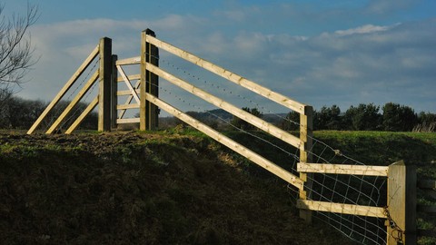 1648944-c0e5-3.jpg