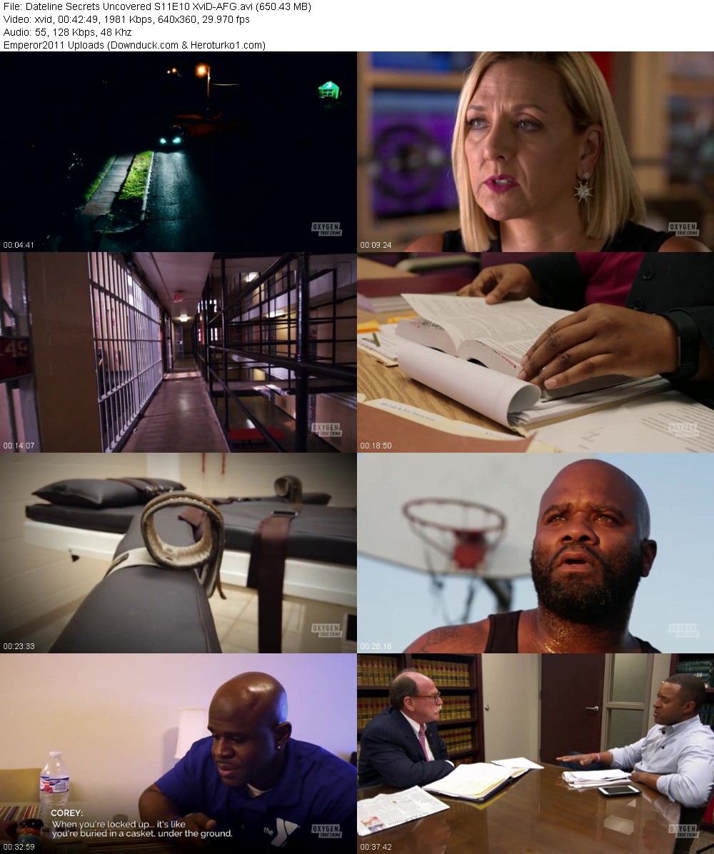 323291452_50nyks4s0gbx.jpg