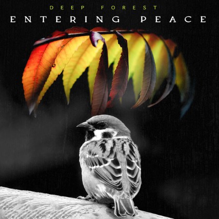 Deep-Forest-Entering-Peace-2025-New-Age-Flac-24-44.jpg