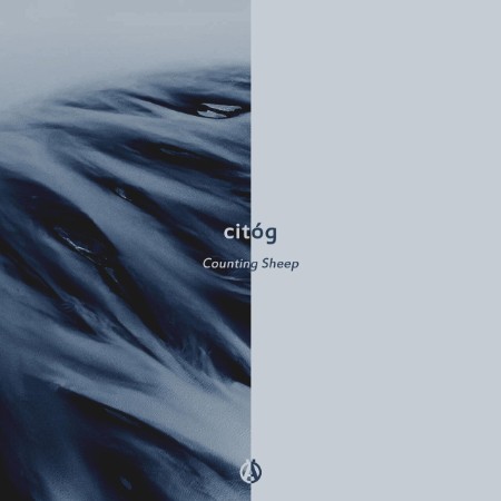 citog-Counting-Sheep-MRKD050-WEB-2025-WAV.jpg