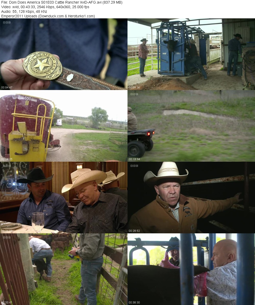 320842824_8yv42ng3exwi.jpg