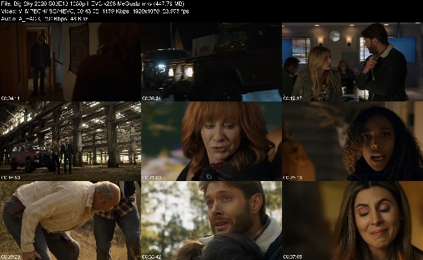 330899775_big-sky-2020-s03e13-1080p-hevc-x265-megusta.jpg