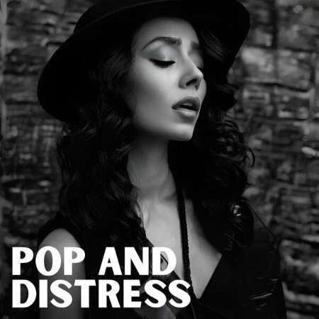 V-A-Pop-And-Distress-2025-Pop-Flac-16-44.jpg