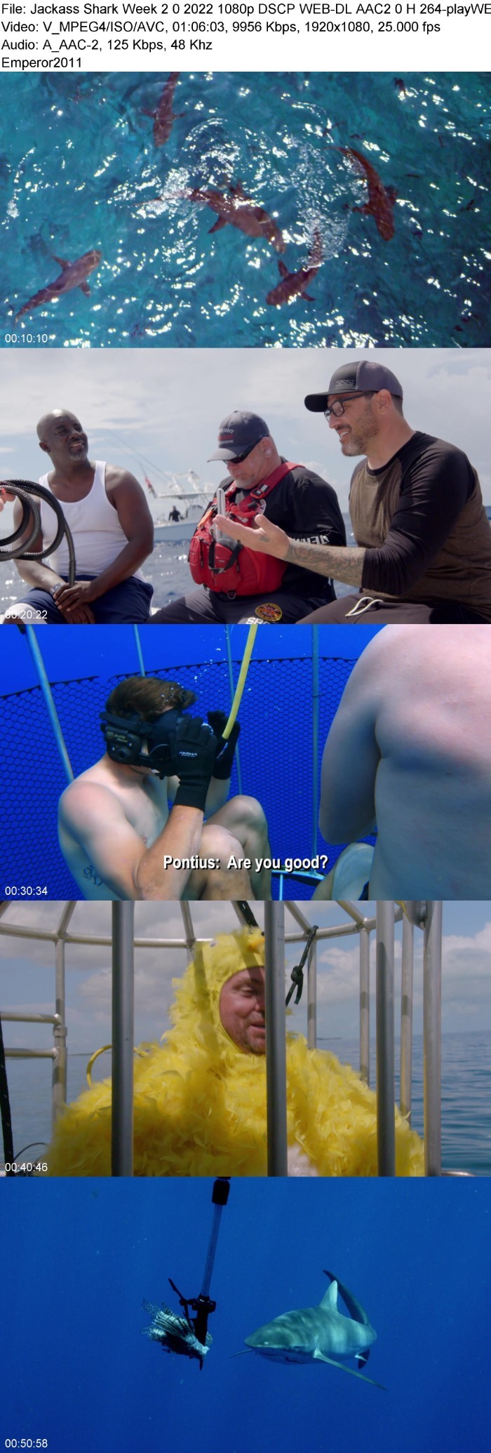 OurVD4lP_o.jpg