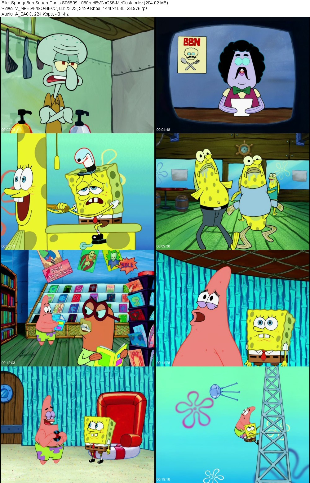 zQLEblRn_o.jpg