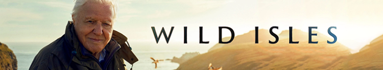 346871990_8i5rgi6x0nwb.png