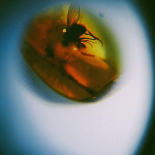 April-VISTA-Traditional-Noise-24BIT-WEB-FLAC-2026-ENRi-CH.jpg