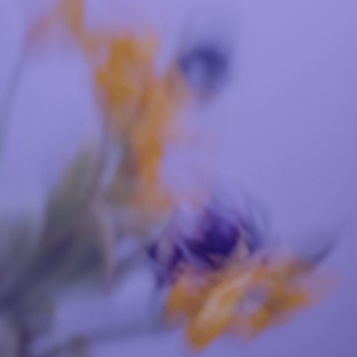 00-enah-take-it-back-bstd011-web-2026-cover.jpg