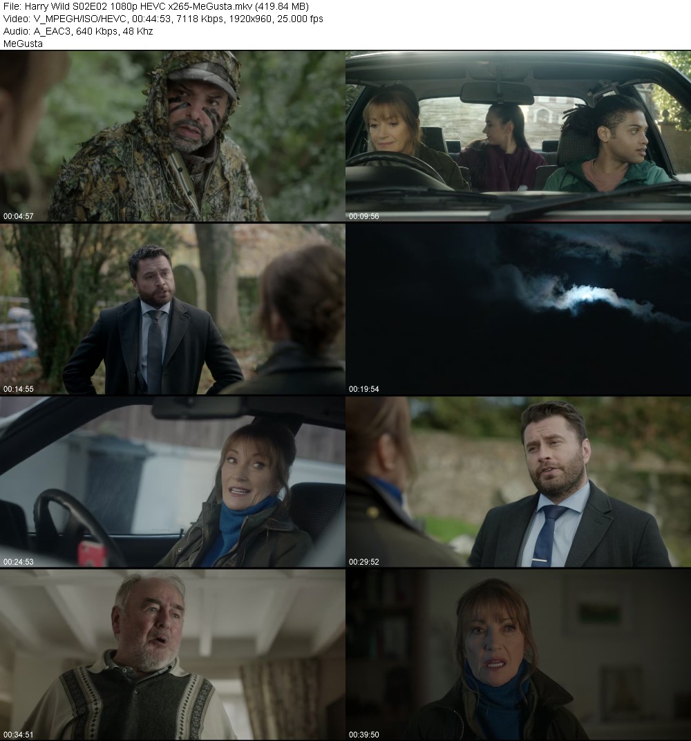 400407346_harry-wild-s02e02-1080p-hevc-x265-megusta.jpg