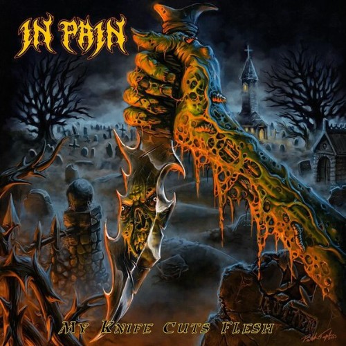 In-Pain-My-Knife-Cuts-Flesh-24BIT-WEB-FLAC-2026-VEXED.jpg