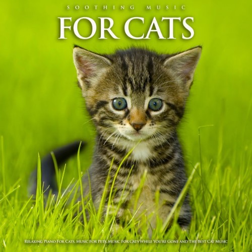 k8xilRqo_o.jpg