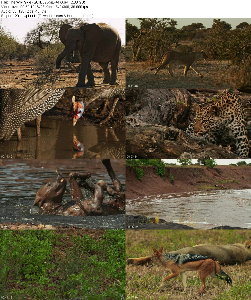 371067445_6rji1ayoc29a.jpg
