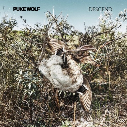 Puke-Wolf-Descend-24BIT-44KHZ-WEB-FLAC-2026-OBZEN.jpg
