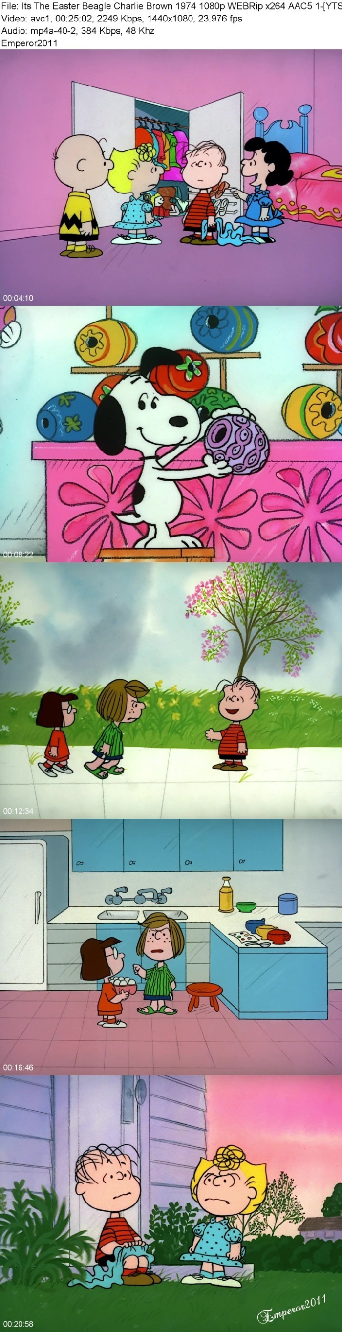 wLMHtQ1J_o.jpg