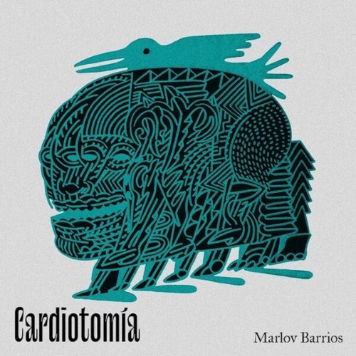 Marlov-Barrios-Cardiotomia-ID006-WEB-2026-ENRi-CH.jpg