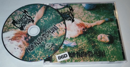 00-cordyceps-corpse-from-flesh-to-fluids-ghp102-cd-flac-2026-cd.jpg