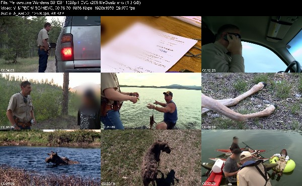331882157_yellowstone-wardens-s01e01-1080p-hevc-x265-megusta.jpg