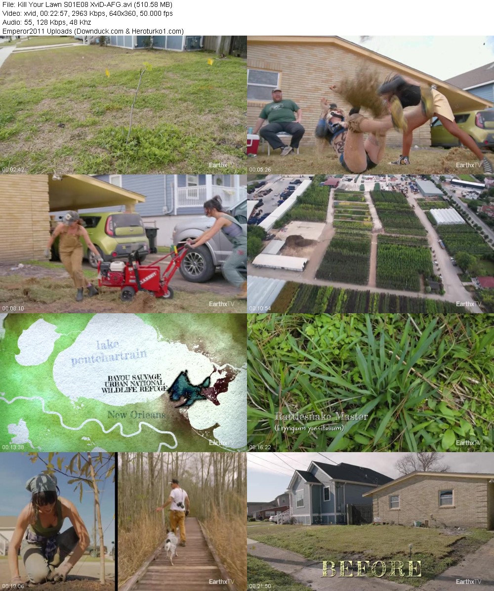 365275737_26omxy7m2inl.jpg