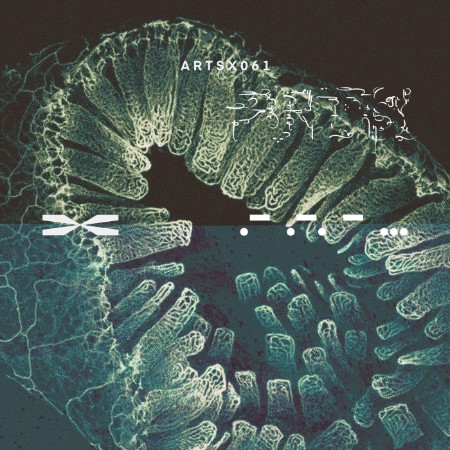 DBFB-Bare-Roots-EP-ARTSX061-16-BIT-WEB-FLAC-2025-WAVED.jpg