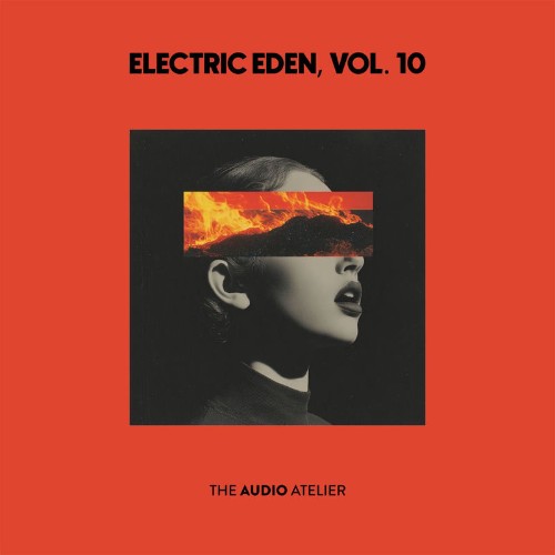 VA-Electric-Eden-Vol-10-TAALP046-WEB-2026-Zz-Zz.jpg