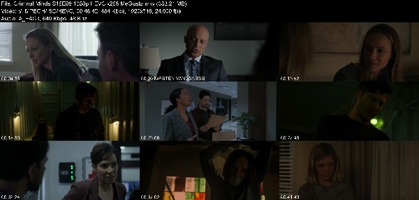 332436039_criminal-minds-s16e08-1080p-hevc-x265-megusta.jpg